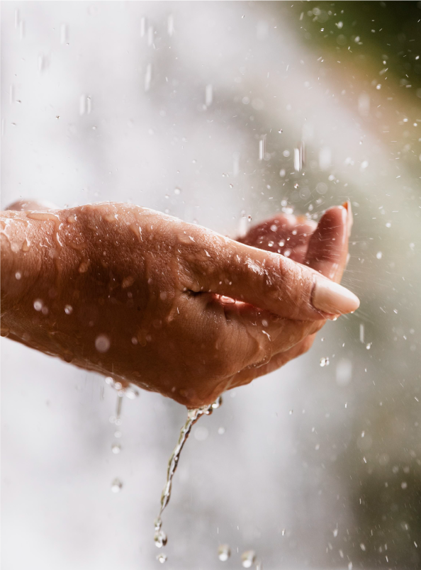 The Importance of Hydration for Immune Support