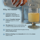 NO Stress GABA L-Theanine Supplement - Magnesium Powder, Ashwagandha KSM 66, Vitamins & Electrolytes Blend for Stress & Immune Support, Cortisol Reducer, Chamomile Lemon Flavor, 30-Day Supply